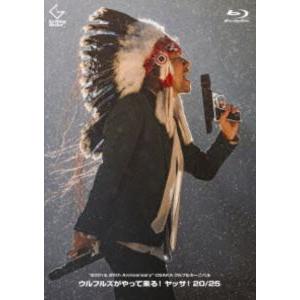 ウルフルズ／”20th＆25th Anniversary”OSAKAウルフルカーニバル ウルフルズが...
