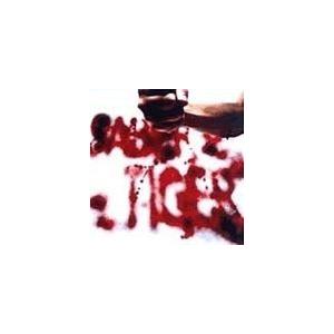 SABER TIGER / SABER TIGER [CD]