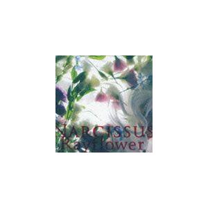 Rayflower / NARCISSUS [CD]