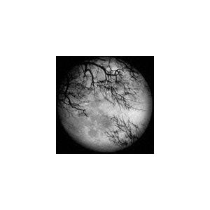 LUNA SEA / LUNA SEA（通常盤／CD＋DVD／ジャケットB） [CD]