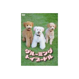 グルーミング トイプードル Dvd Prettyfunnyballoons Com