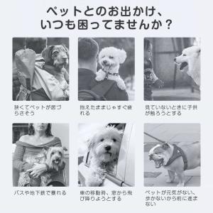 ペットキャリーバッグ 折りたたみ 2way 犬...の詳細画像3