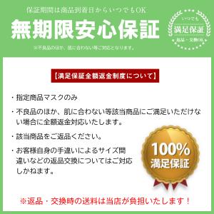 マスク 不織布 ふつう 個別包装 40枚×6箱...の詳細画像1