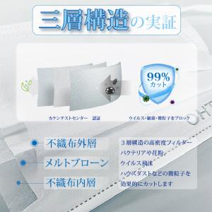 マスク 不織布 ふつう 個別包装 40枚×6箱...の詳細画像3