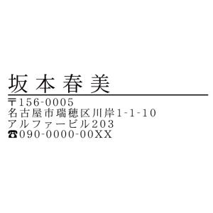ブラザースタンプ文字入れ替えマンション名ありタイプ住所印（細明朝体） 1.5cmx4.7cm 浸透印 はんこ