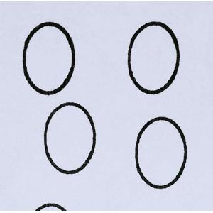 楕円縦枠訂正印　ブラザー訂正印 ブラザーネーム6 浸透印 はんこ 手帳用 スタンプ