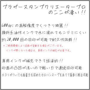 ブラザーネーム6 訂正印(丸型縦)約6mm 修...の詳細画像3