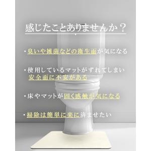 TRAD JAPAN トイレマット 日本製 銀...の詳細画像3