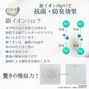 TRAD JAPAN トイレマット 日本製 銀...の詳細画像5