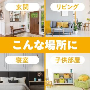 アース製薬 マモルーム エッセンス 虫よけ パ...の詳細画像5