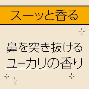 アース製薬 マモルーム Feat.アレルブロッ...の詳細画像5