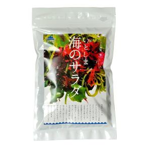 海藻 福岡 糸島 海藻類 山下商店 いとしま 海のサラダ 20gの商品画像
