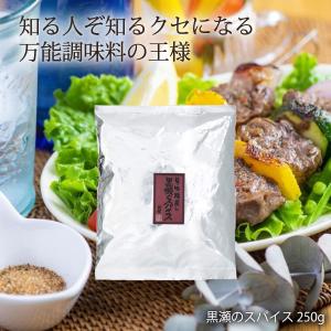 送料無料 [黒瀬食鳥] 黒瀬のスパイス 250g /ポイント消化 お試し お得 大人気 ポッキリセール バーベキュー BBQ キャンプ スパイス 万能調味料