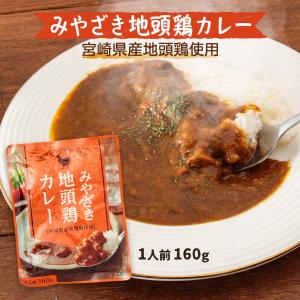 みやざき地頭鶏カレー 160g
