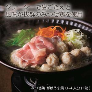 みつせ鶏  がばうま鍋/3~4人分(1 九州 佐賀 贅沢 ギフト