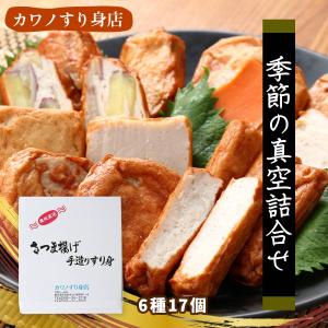 さつまあげ S2 季節の真空詰合せ 6種6個 /おつまみ おかず 薩摩 薩摩揚げ 鹿児島名物 鹿児島 詰合せ 地元の魚
