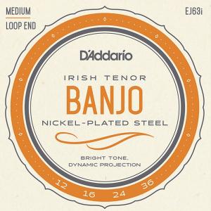D'Addario EJ63i Irish Tenor Banjo Medium 012-036 ダダリオ バンジョー弦｜dt-g-s