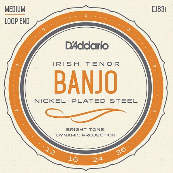D&apos;Addario EJ63i Irish Tenor Banjo Medium 012-036 ダ...