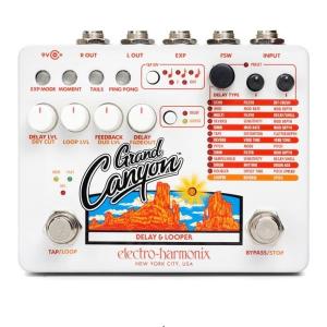 Electro-Harmonix Grand Canyon エレクトロハーモニクス ディレイ＆ルーパー｜dt-g-s