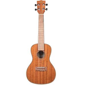 KALA KALA U.BASS Striped Ebony Fretless UBASS-EBY-FL カラ ウクレレ