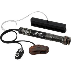 LR Baggs ELEMENT 美品 L.R.Baggs ELEMENT アコースティックギター用 ピックアップ Acoustic