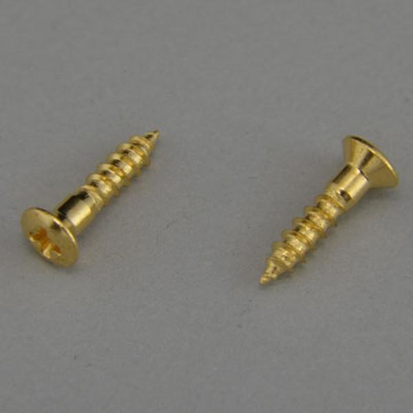 Montreux Selected Parts #9280 ピックガード止めネジ ヴィンテージ ミリ...