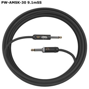 D'Addario PW-AMSK-30 Kill Switch Cable 9.1m SS ダダリオ キルスイッチ ギターケーブル｜dt-g-s