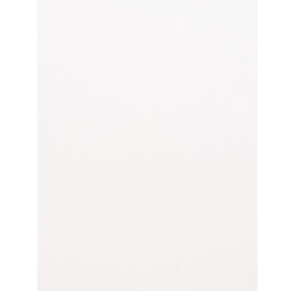 SCUD F-PGCL アコースティック用ピックガードシート クリア