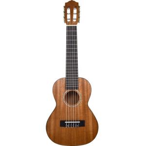 Ibanez（アイバニーズ） Ibanez EWP14WB-OPN (Open Pore Natural