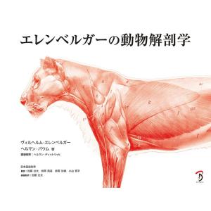 エレンベルガーの動物解剖学 ボーンデジタル 追跡可能メール便可｜dtp