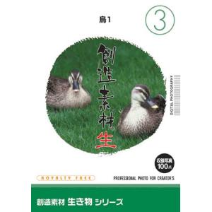 創造素材 生き物シリーズ3 鳥1｜dtp