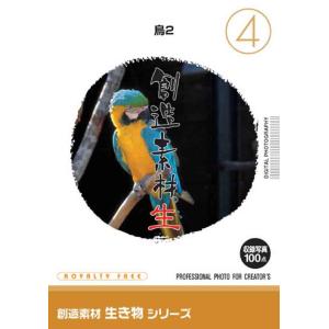 創造素材 生き物シリーズ4 鳥2｜dtp