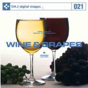 特価 DAJ 021 WINE & GRAPES｜dtp