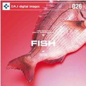 特価 DAJ 026 FISH｜dtp