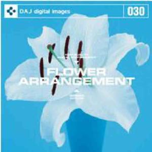 特価 DAJ 030 FLOWER ARRANGEMENT｜dtp