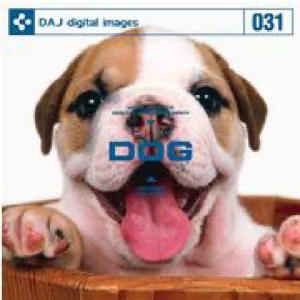 特価 DAJ 031 DOG｜dtp