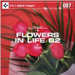 特価 DAJ 087 FLOWERS IN LIFE 02｜dtp