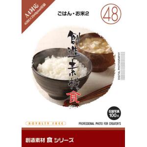 創造素材 食シリーズ48 ごはん お米2｜dtp