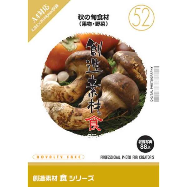 創造素材 食シリーズ52 秋の旬食材 果物 野菜 爆買
