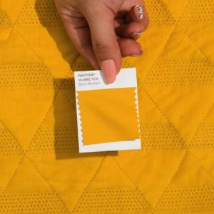 PANTONE パントン FHI コットンスワ...の詳細画像2