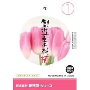 創造素材 花植物シリーズ1 花｜dtp