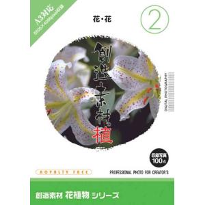 創造素材 花植物シリーズ2 花 花｜dtp