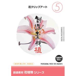 創造素材 花植物シリーズ5 花クリップアート｜dtp