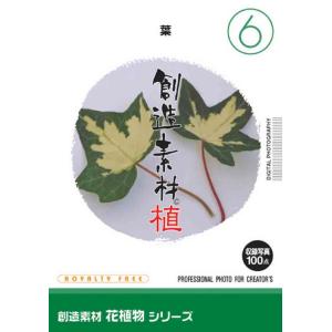 創造素材 花植物シリーズ6 葉｜dtp