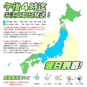 PANTONE パントン カラーブリッジ.セッ...の詳細画像5