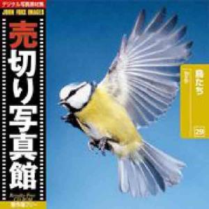 売切り写真館 JFI 029 鳥たち Birds｜dtp