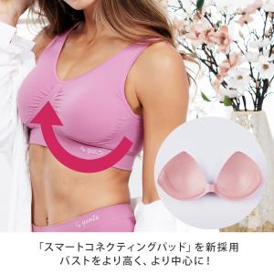 ジニエインテグレートブラ 6枚 ジニエ インテ...の詳細画像5