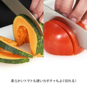 ヘンケルス ステンレス包丁セット ツヴィリング...の詳細画像4