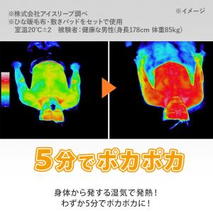 ひな暖ぬくぬくセット(毛布+敷きパッド) ダブ...の詳細画像3