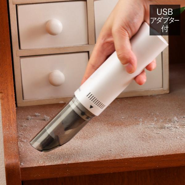 テラサ(TERASA) ナノクリーナー USBアダプター付     お掃除 軽量 掃除機 クリーナー...